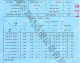 檢驗(yàn)報告