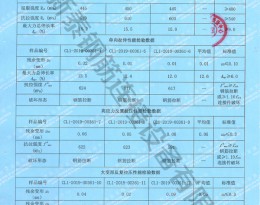 檢驗(yàn)報告