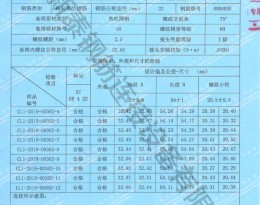 檢驗(yàn)報告