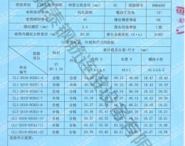 檢驗(yàn)報告