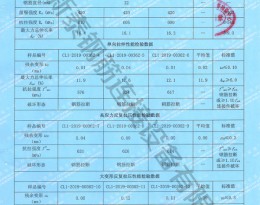 檢驗(yàn)報告